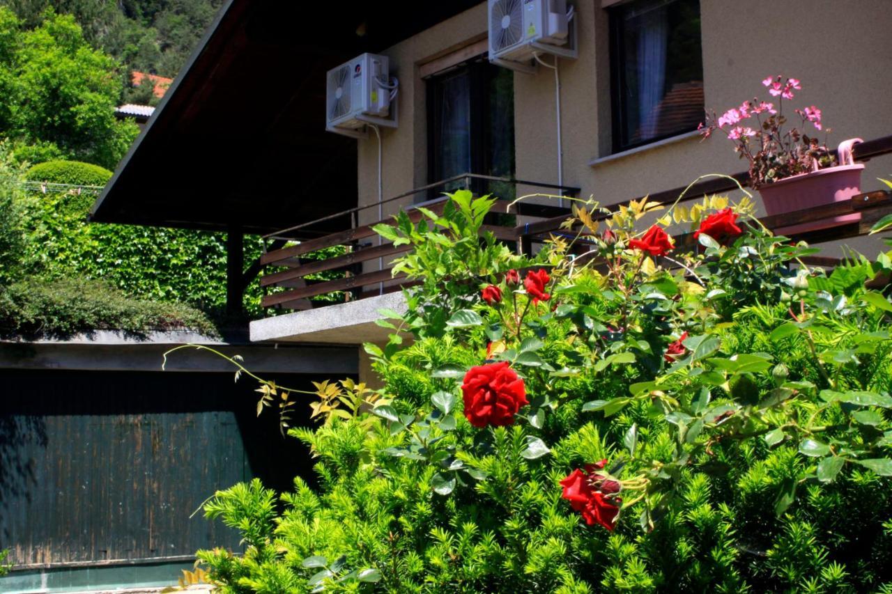 Na Kopitarjevi Hotel Lasko Exterior photo